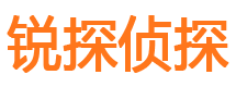 长岭市侦探